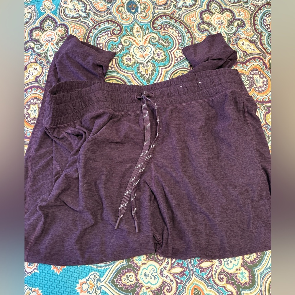 Womens jogger or pants - like new